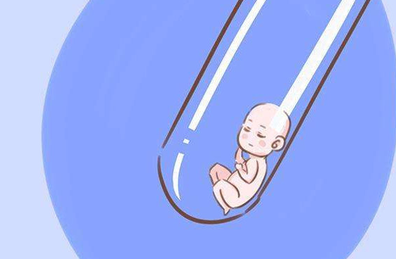 2023上海八院试管婴儿指引手册，附助孕成功率参考