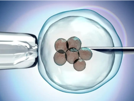 鲜胚移植前怎样做能提高移植的成功率？