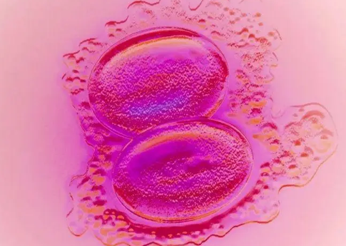 胚胎着床后出现白色的分泌物是正常的情况吗？