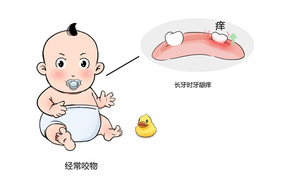 宝宝长牙期会哭闹吗？宝宝长牙期会哭闹吗？