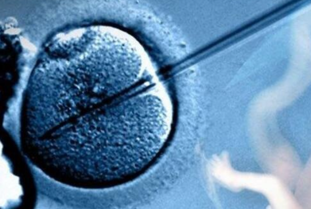 选择高龄试管婴儿的胚胎时，哪些因素容易影响质量？