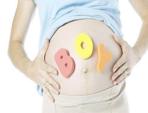 备孕吃什么可以辅助怀男宝宝？可采取一些以下有效的措施