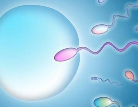 男性精子活力低可以通过试管的方式助孕吗？