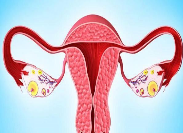 子宫卵巢输卵管切除后还有月经吗？了解卵巢切除对月经的影响