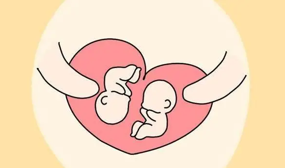 如何提高怀孕生育双胞胎的概率？生育年龄和遗传因素影响大！