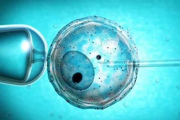 试管婴儿通常是植入一个胚胎还是两个？这样做有哪些风险？