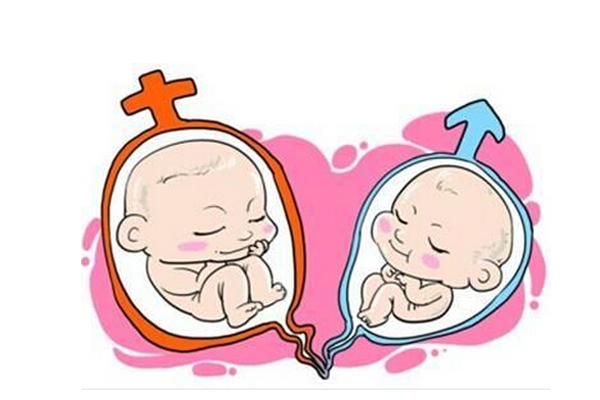 试管婴儿可以生双胞胎并选择性别吗?