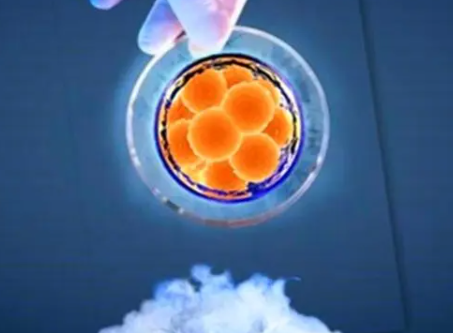 冷冻保存的胚胎还会继续发育吗？