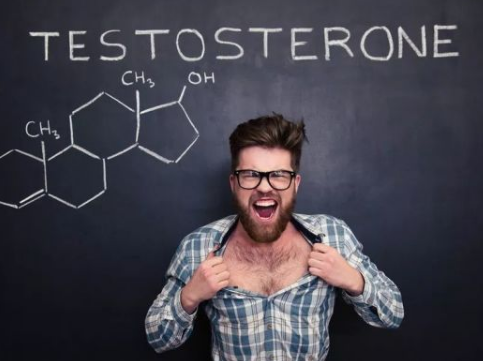试管治疗前男性检查出睾酮高应该怎么办？