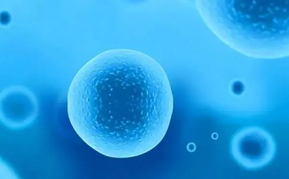 卵母细胞冷冻技术在不孕症治疗中的作用是什么？一项重大的科技突破