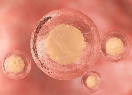 胚胎发育慢移植后着床是不是也晚一些？