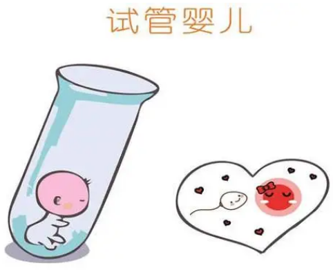 2023四川省妇幼保健院试管婴儿指引手册，附助孕成功率参考