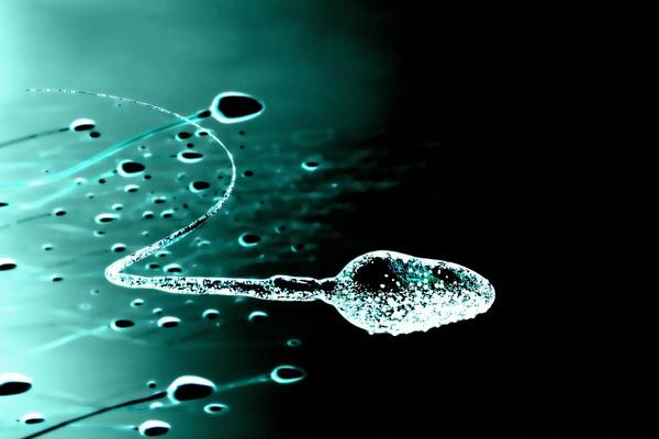 男性精子DNA碎片率超过42%，这种情况下是否可以继续怀孕？