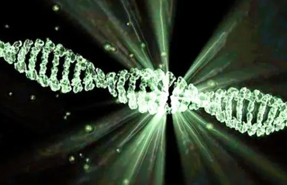 精子DNA碎片终身不变吗？科学解读与真相大揭秘