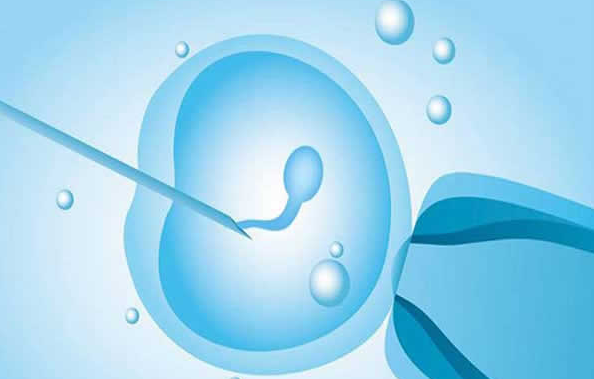 2023山东中医药大学二附院试管婴儿助孕攻略，助孕成功率预估