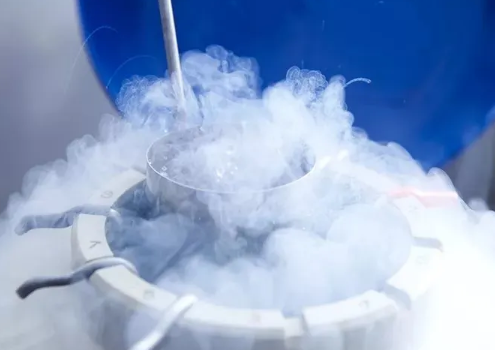 冷冻胚胎几年内复苏做试管移植的成功率是最高的？