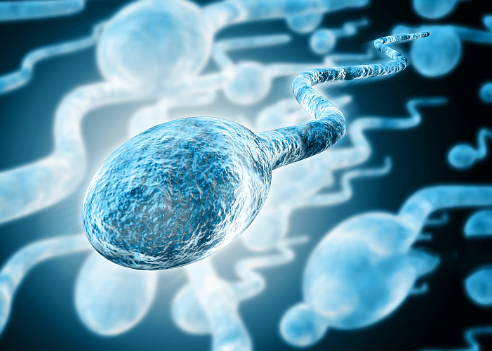 精子质量差的男性做试管会导致胚胎着床不成功吗？