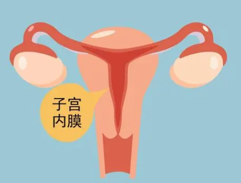 子宫内膜对试管婴儿的成功率有什么影响？提高内膜的方法有哪些？