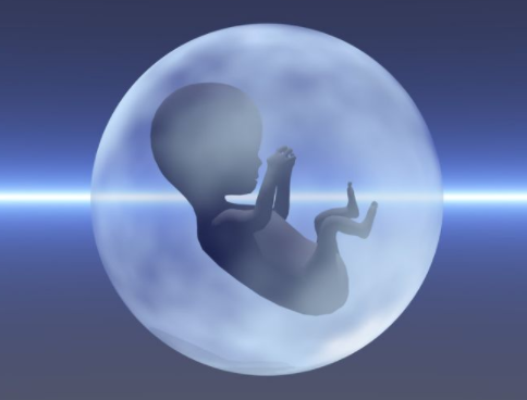 哪种胚胎移植方案可以在取卵之后的同一周期进行？