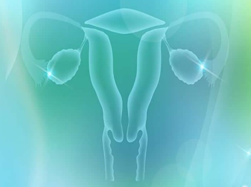 改善子宫内膜容受性和改善子宫血流速度的方法有哪些？