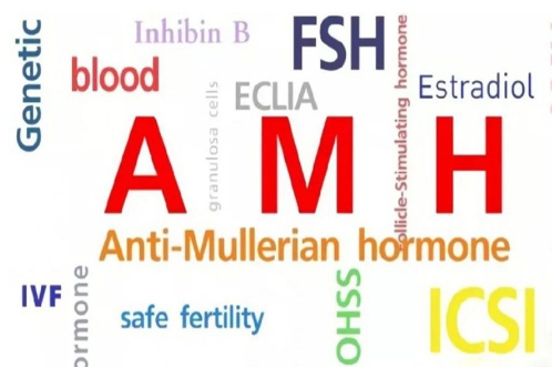 女性做AMH卵巢功能检查是怎么进行的？需要注意的事项有哪些？