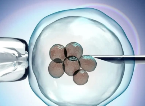 先天性子宫卵巢畸形做试管会影响试管移植的成功率吗？