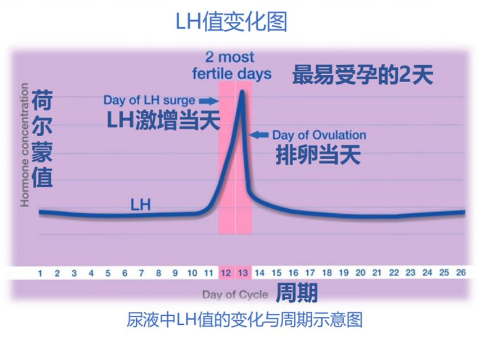 试管婴儿促排之前女性LH数值的正常范围是什么？