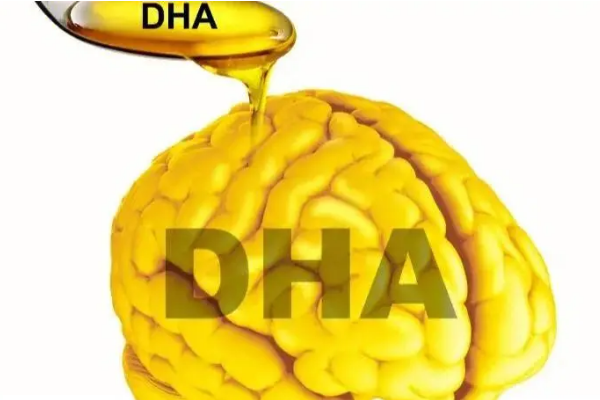 DHA能改善婴儿脑部发育迟缓的情况吗？