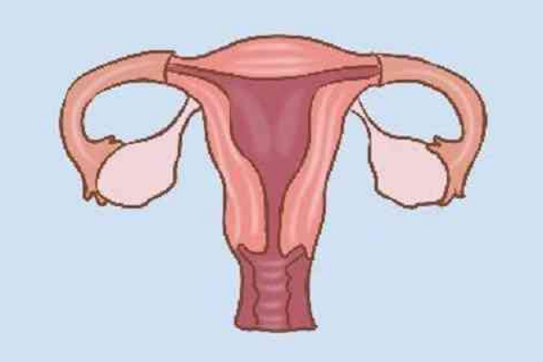 始基子宫的患者在接受手术后还能怀孕吗？