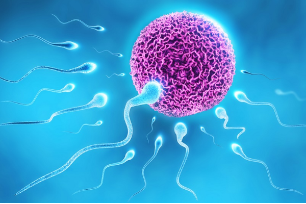 输卵管堵塞做人工授精辅助生育需要的费用是多少？