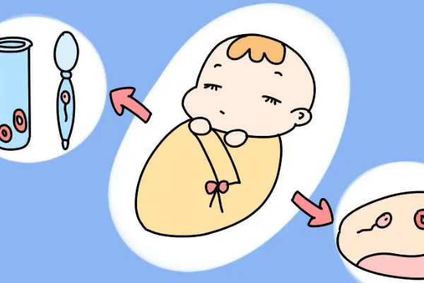 做一次试管婴儿需要多长时间？看完详细步骤后你就知道