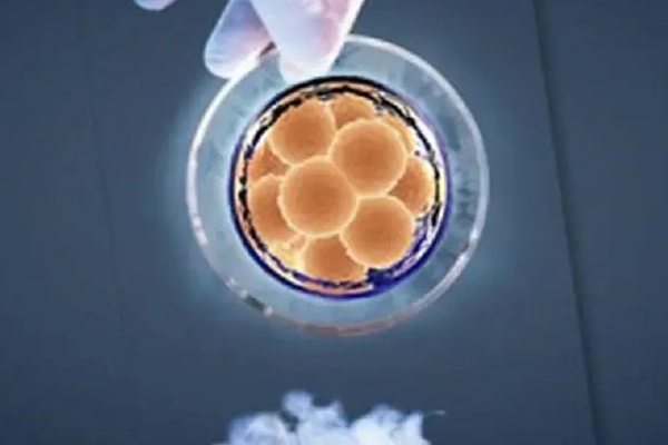 移植优质囊胚十二天还不着床的原因是什么？