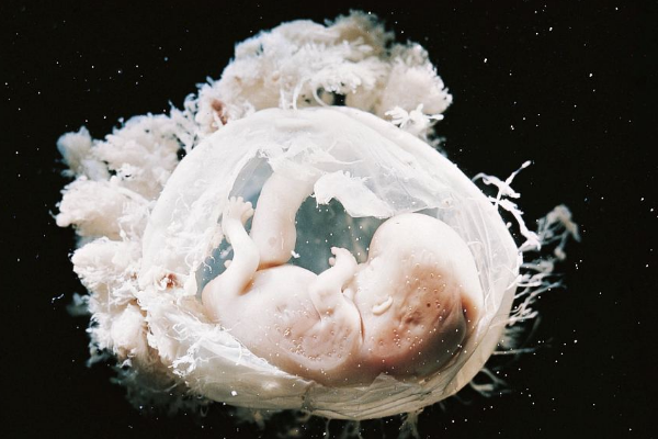试管剩余的胚胎怎么处理？是选择无偿提供还是冷藏呢？