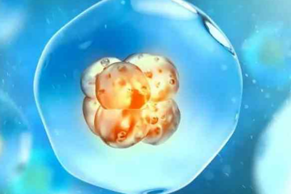 胚胎碎片多有什么办法可以进行医治？