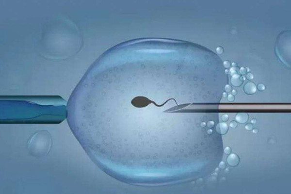 第三代人工受精是最先进的生育技术之一，一个周期要经历这些步骤