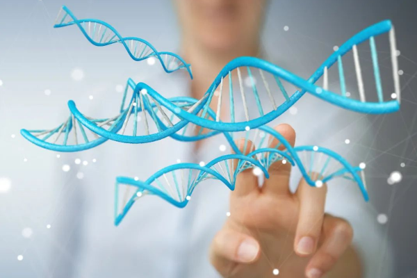 试管婴儿基因筛查哪些项目？