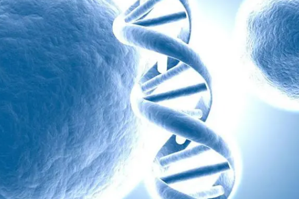 三代试管能筛查出基因问题，但不能识别所有遗传疾病