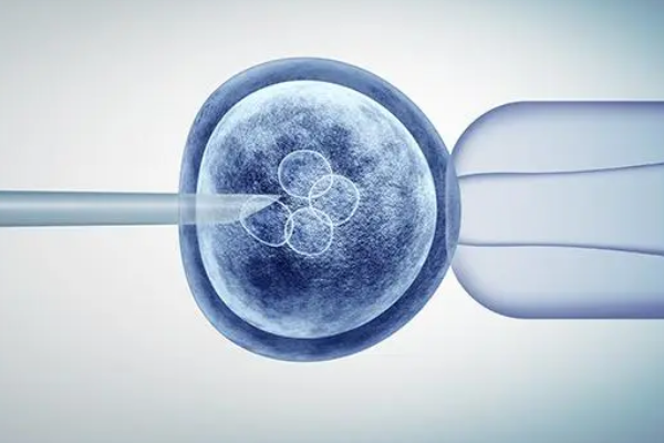 微刺激方案促排后什么时候移植胚胎？