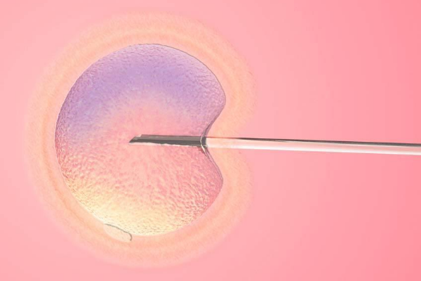 试管移植成功率受多种因素影响，提高受孕机率的实用技巧分享