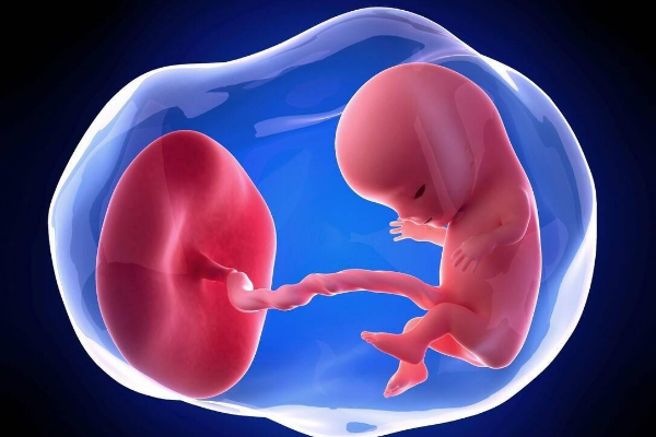 试管移植一级胚胎后没有胎心是什么原因？