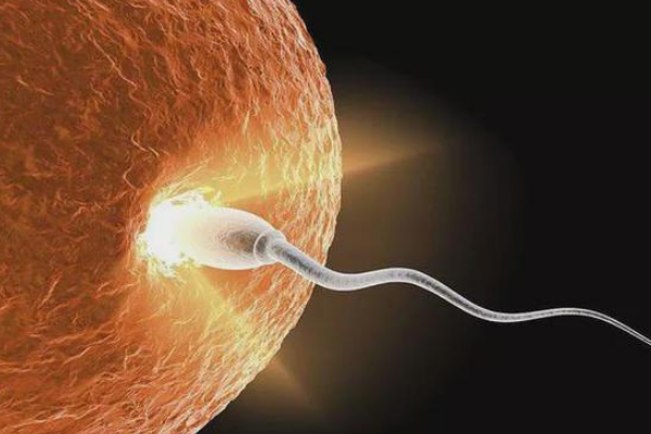 胚胎培育卵子不受精是什么原因？主要与这六方面有关