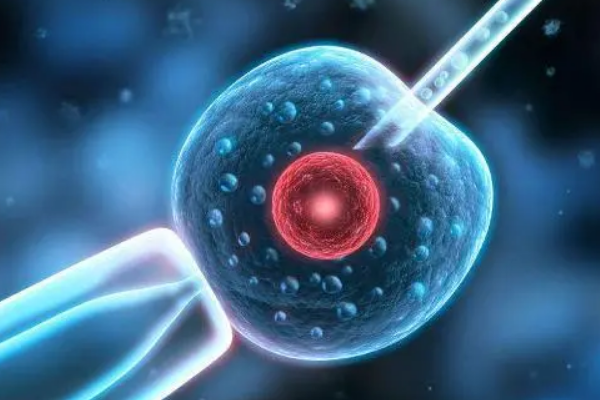 质量好的胚胎做试管婴儿移植就一定能成功吗？