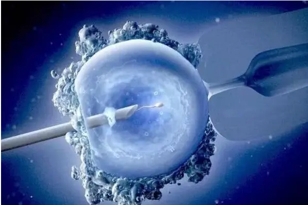 没有精子的男性可以通过试管婴儿的方式生育吗？