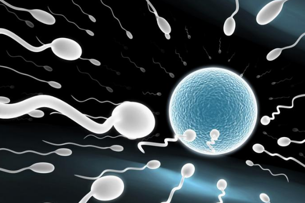 精子成活率只有10%的男性能做三代试管生育吗？