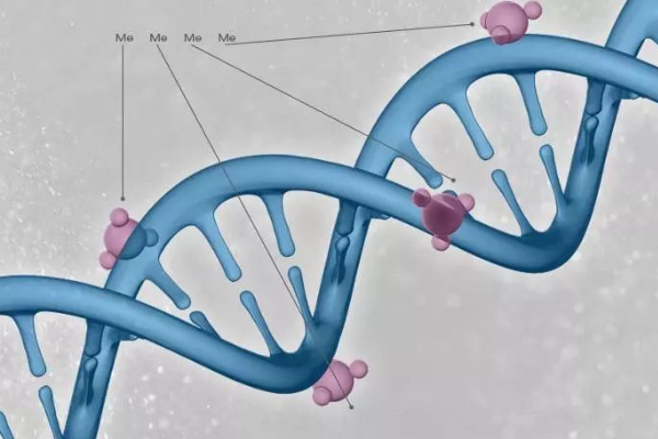 男方基因突变可以通过做三代试管婴儿能阻断遗传吗？
