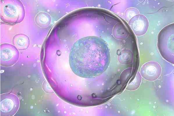 三代试管胚胎养囊不成功的因素有哪些？有哪些方法可以改善？