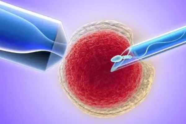 三代试管活检技术会对胚胎造成什么创伤吗？