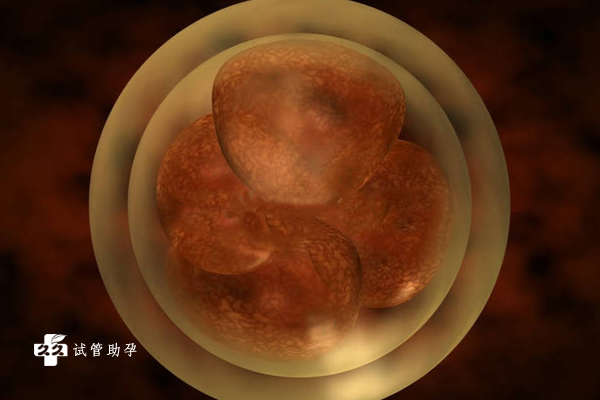三代试管能否移植等级3bc等级的胚胎？了解完成功率后你就知道