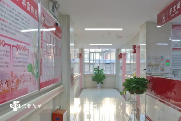 桂林妇幼保健院试管费用已出炉，附试管成功率详情