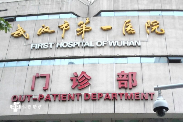 武汉市第一医院试管费用贵吗？附2023年助孕价格表